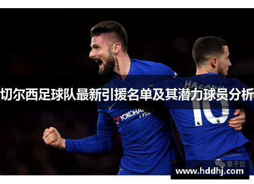 切尔西足球队最新引援名单及其潜力球员分析