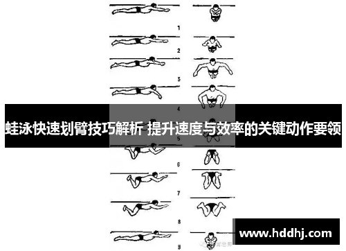 蛙泳快速划臂技巧解析 提升速度与效率的关键动作要领